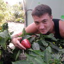 ���������� �������, ���� ������� Nik, 43 ����, ������������ ��� ������