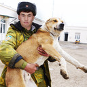 ���������� ������, ���� ������� ����, 36 ���, ������������ ��� ������, ����� � ���������, c�������� ���������