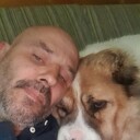 ���������� ������, ���� ������� ����, 44 ����, ������������ ��� ������, ����� � ���������, c�������� ���������