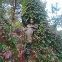 ���������� ���������� �����, ���� ����� �����, 22 ����, ������������ ��� ����� � ���������, c�������� ���������