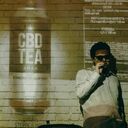 ���������� ��������, ���� ������� ����, 26 ���, ������������ ��� ������, ����� � ���������