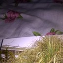  ,   , 56 ,   