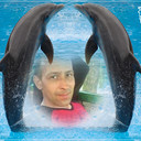  ,   , 56 ,   