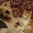 ���������� �������, ���� ������� ������, 59 ���, ������������ ��� ������