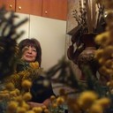 ���������� ������, ���� ������� ���������, 63 ����, ������������ ��� ����� � ���������, c�������� ���������