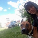 ���������� ����������, ���� ������� Ed, 33 ����, ������������ 