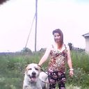 ���������� �������, ���� ������� �������, 49 ���, ������������ 