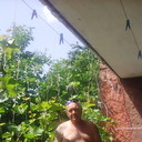  ,   , 62 ,   ,   , c 
