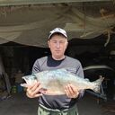 ���������� ������� ������, ���� ������� �������, 49 ���, ������������ ��� ������, ����� � ���������, c�������� ���������