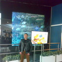 ���������� ����, ���� ������� ����, 43 ����, ������������ 