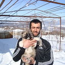 ���������� �������, ���� ������� VACHE, 39 ���, ������������ ��� ������