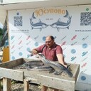 ���������� ������, ���� ������� ���������, 43 ����, ������������ ��� c�������� ���������