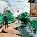 ���������� �����-���������, ���� ������� �����, 27 ���, ������������ ��� ������, ����� � ���������, c�������� ���������, ���������