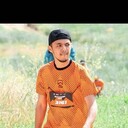  ,   DINO, 31 ,   ,   , c , 