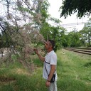 ���������� ���������, ���� ������� ������, 48 ���, ������������ ��� ������, ����� � ���������, c�������� ���������