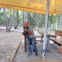 ���������� ���������, ���� ������� �����, 41 ���, ������������ ��� ������, ����� � ���������, c�������� ���������