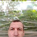   ,   , 43 ,   ,   , 