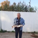  ,   , 68 ,   ,   
