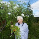 ���������� ������, ���� ������� ������, 67 ���, ������������ ��� ������, ����� � ���������, c�������� ���������