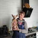  ,   , 53 ,  