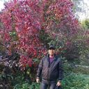 ���������� ������, ���� ������� ����, 61 ���, ������������ ��� c�������� ���������