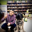 ���������� �����-���������, ���� ������� �����, 41 ���, ������������ ��� c�������� ���������