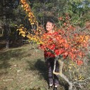 ���������� �����������, ���� ������� �����, 54 ����, ������������ ��� ����� � ���������, c�������� ���������