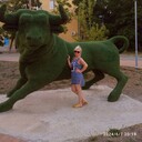  ,   , 56 ,     , c 
