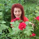 ���������� �������, ���� ������� �����, 48 ���, ������������ ��� ����� � ���������, c�������� ���������, ���������