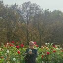 ���������� �����������, ���� ������� ������, 67 ���, ������������ ��� ����� � ���������, c�������� ���������