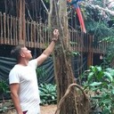 ���������� ������, ���� ������� �������, 38 ���, ������������ ��� ������, ����� � ���������, c�������� ���������