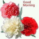 ���������� ������, ���� ������� Taha, 39 ���, ������������ ��� ������, ����� � ���������, c�������� ���������