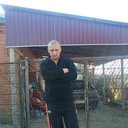  --,   , 49 ,   