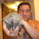 ���������� �����, ���� ������� �������, 50 ���, ������������ ��� ������, ����� � ���������