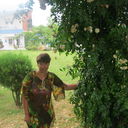  ,   , 38 ,   ,   , c 
