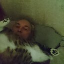 ���������� ���������, ���� ������� ����, 51 ���, ������������ ��� ������, ����� � ���������