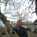 ���������� ������ ��������, ���� ������� ��������, 44 ����, ������������ ��� ������, ����� � ���������