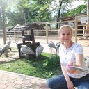 ���������� ����������, ���� ������� �����, 44 ����, ������������ ��� ������, ����� � ���������, c�������� ���������