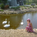  ,   LOVE, 34 ,     , c , 