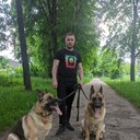 ���������� ������, ���� ������� �������, 41 ���, ������������ ��� ������, ����� � ���������