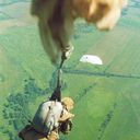 ���������� ����, ���� ������� �������, 37 ���, ������������ ��� ������