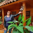  ,   , 55 ,   c 