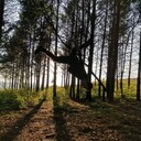 ���������� ��������, ���� ������� ������, 30 ���, ������������ ��� ����� � ���������, c�������� ���������