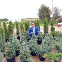 ���������� ������, ���� ������� ����, 42 ����, ������������ ��� ������, ����� � ���������