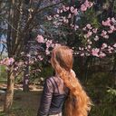 ���������� ������, ���� ������� ���������, 25 ���, ������������ ��� ������, ����� � ���������