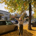 ���������� �������, ���� ������� �����, 40 ���, ������������ ��� c�������� ���������