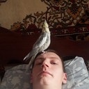  ,   , 32 ,     , c 