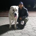 ���������� ���������, ���� ������� ������ � �, 46 ���, ������������ ��� ����� � ���������, c�������� ���������