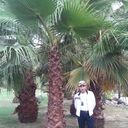 ���������� ���������, ���� ������� ����, 51 ���, ������������ ��� ������, ����� � ���������, c�������� ���������