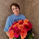 ���������� ���, ���� ������� �������, 37 ���, ������������ ��� ���������